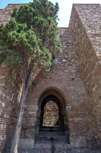 Εσωτερικό του το alcazaba της Μάλαγα, Ισπανία — Φωτογραφία Αρχείου