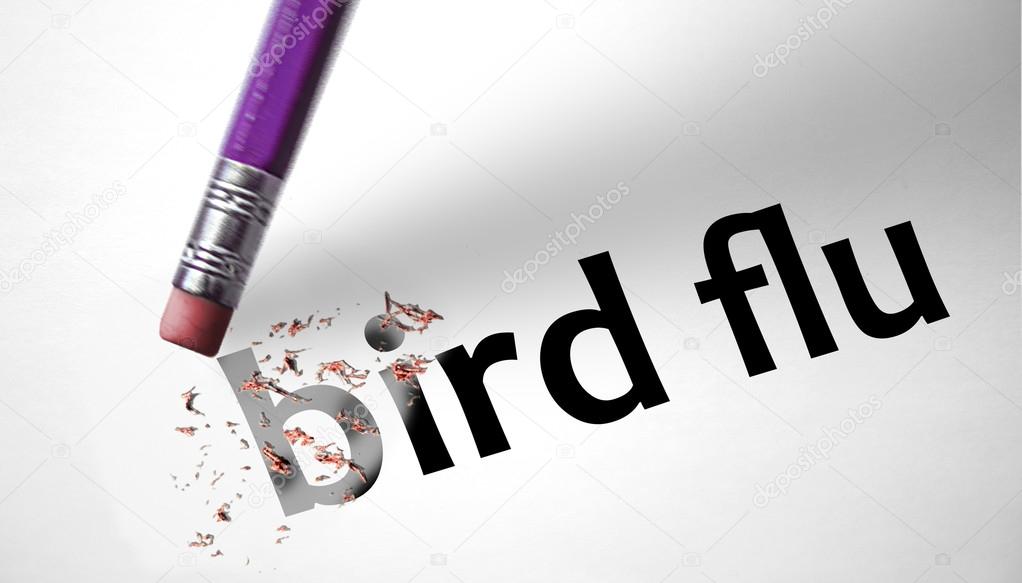 Eraser deleting the word Bird Flu 