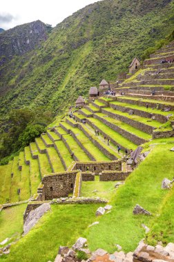 Inca şehir machu picchu (peru)