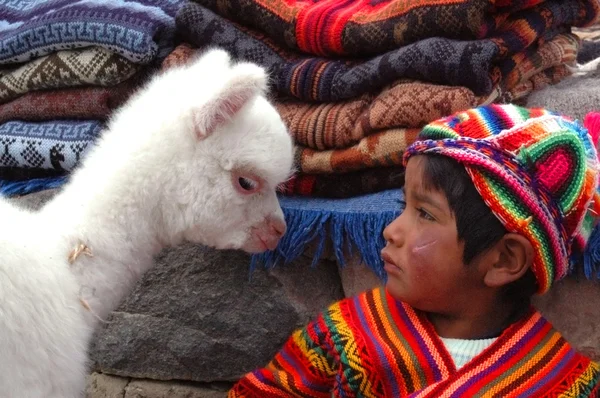 Arequipa, peru - januar 6: unbekannter quechua kleiner junge in t — Stockfoto