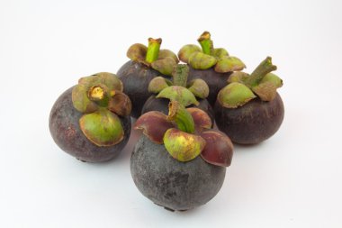 Mangosteen