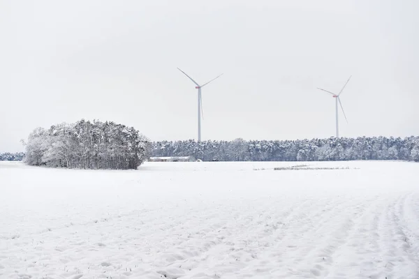 Éoliennes Hiver Avec Neige — Photo