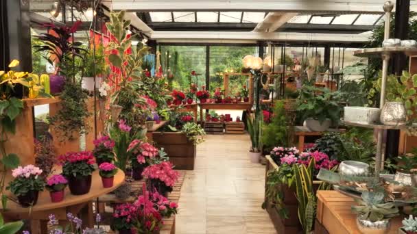 Flower Shop Interior Panning Right Footage — Stock Video