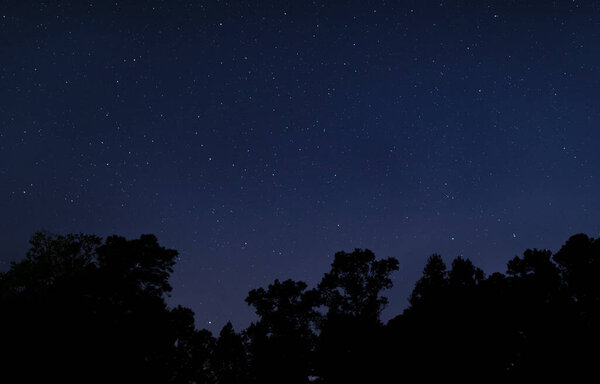 Звезды в небе с темным лесом под Рейфордом, Северная Каролина