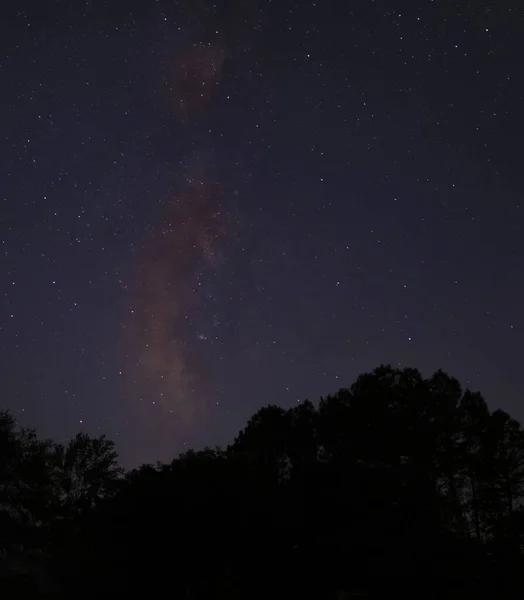 Bright Starry Night Forest Raeford North Carolina Milky Way — Foto de Stock