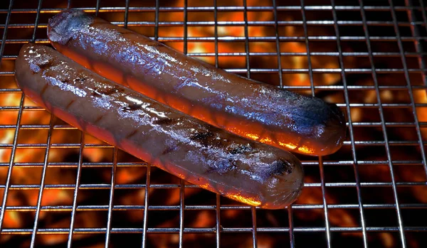 Pair Hot Dogs Cooking Fire — Stockfoto