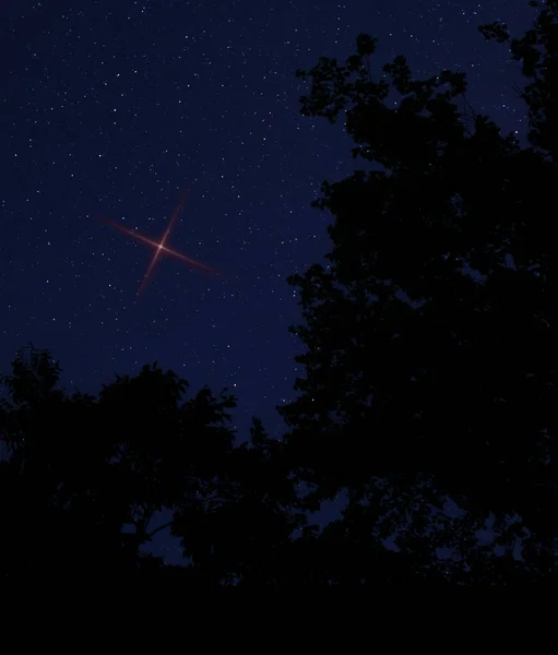 Bright red star rising in the sky in North Carolina for Christmas Eve