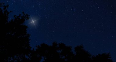 Dark treeline in North Carolina with the Christmas star rising and room for copy