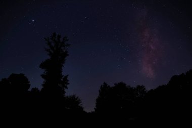 Milky Way and stars over a forest near Raeford North Carolina with the Milky Way