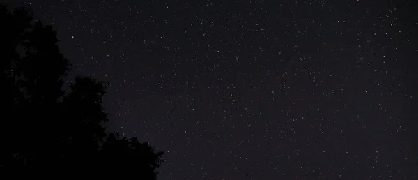 Stars with black trees for a background taken near Raeford North Carolina