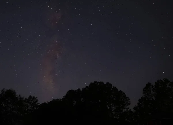 Vía Láctea Estrellas Siluetas Bosque Carolina Del Norte — Foto de Stock