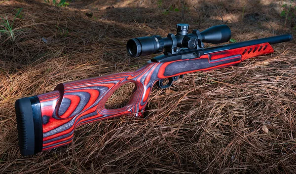 Semi-auto rimfire rifle with a scope on a forest floor