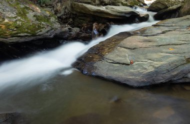 Boone North Carolina 'nın yakınındaki akarsu taşları ve çağlayarak akan suyla dolu.