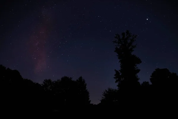 Noche Tranquila Con Árboles Siluetas Vía Láctea Carolina Del Norte — Foto de Stock