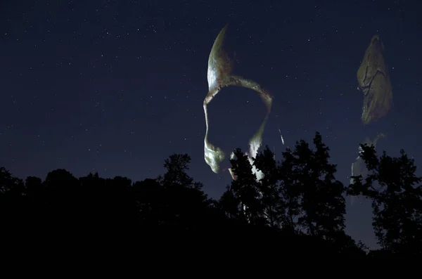 星空の下で森の上に立ち上がる頭蓋骨の3Dレンダリング — ストック写真