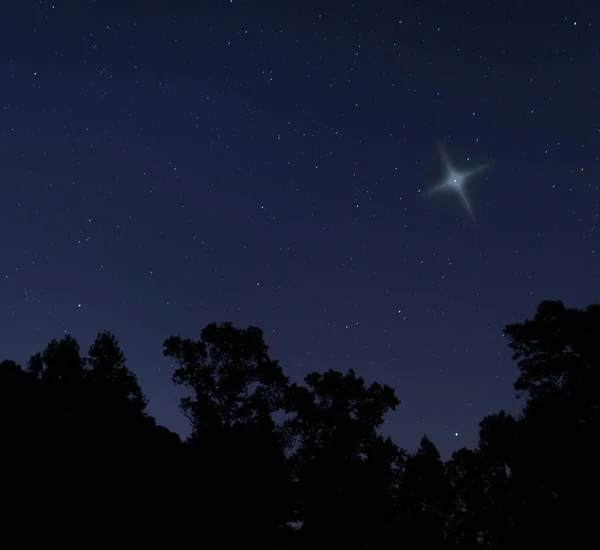 One bright Christmas star over a forest in North Carolina