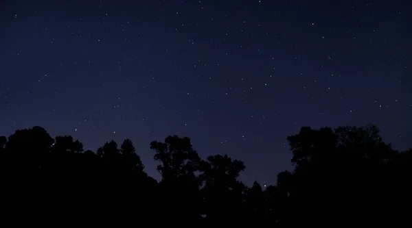 Stars shining over a tree line silhouetted in North Carolina