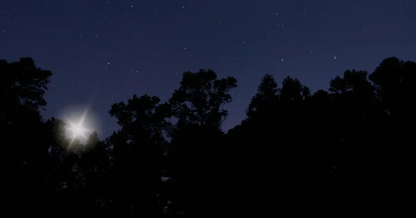 Bright star on Christmas eve rising above dark trees in Raeford NC