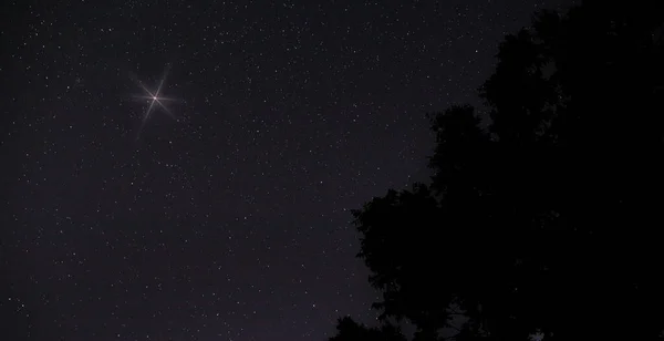 Bright star rising above the trees on Christmas in North Carolina