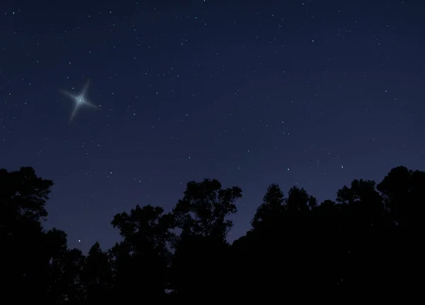Christmas star high above the treeline in North Carolina