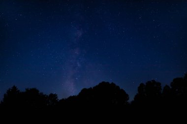 Kuzey Carolina 'daki ağaçların üzerinde parlak yıldızlar ve Samanyolu