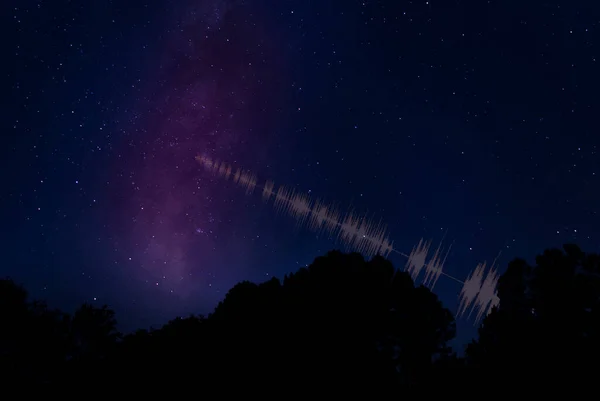 Bright stars and MilkyWay over the trees in North Carolina