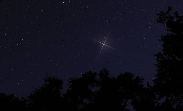 One bright Christmas star rising over a line of trees near Raeford NC