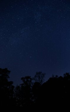 Raeford NC yakınlarındaki yıldızlar ağaçların gölgesinde.