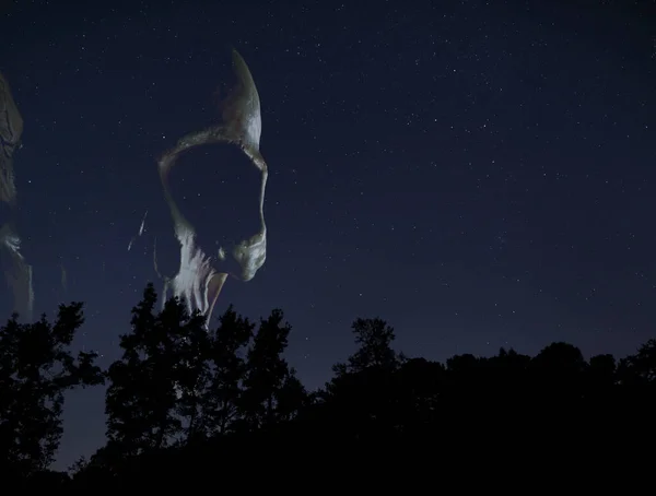 Skull rising above a dark forest on a star filled night