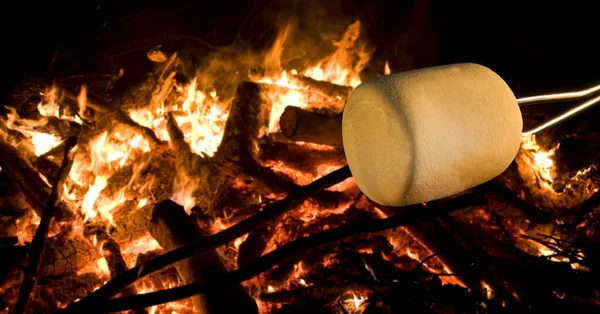 一个棉花糖开始在篝火上烘烤 — 图库照片
