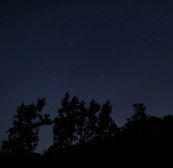Kuzey Carolina Sık Bir Orman Yıldızlı Bir Gecenin Silueti Altında — Stok fotoğraf