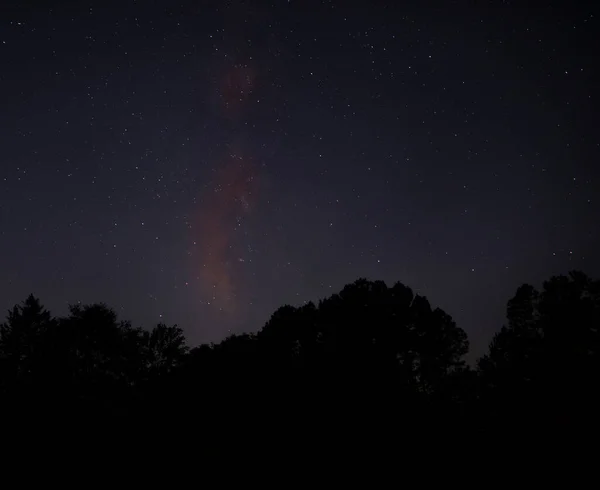 Vía Láctea Elevándose Sobre Bosque Oscuro Cerca Raeford — Foto de Stock