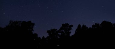 Kuzey Carolina 'da gece vakti arkasında yıldızlar olan siluetli ağaçlar