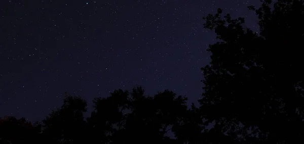 Gwiazdy Sylwetki Drzew Spokojną Noc Pobliżu Raeford Północnej Karoliny Miejsca — Zdjęcie stockowe