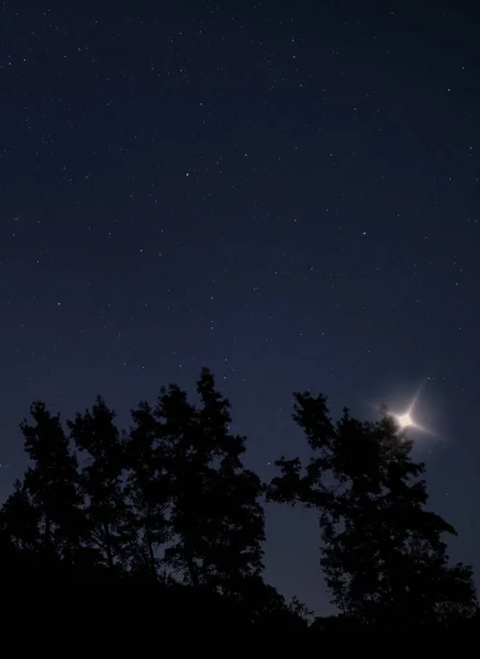 Yıldızlarla Dolu Bir Gecede Gölgeli Ağaçların Üzerinde Açıklanamayan Bir Işık — Stok fotoğraf
