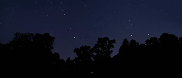 Kuzey Carolina Gece Vakti Arkasında Yıldızlar Olan Siluetli Ağaçlar — Stok fotoğraf