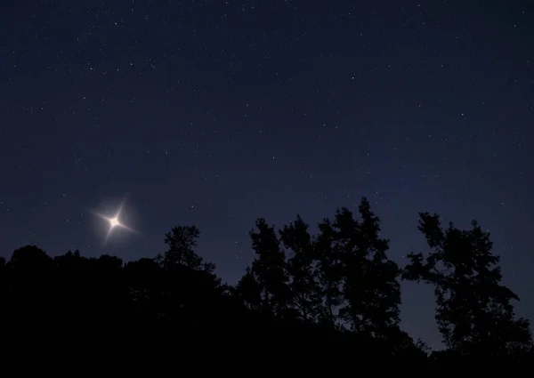 Açık Bir Gecede Yıldızların Silueti Altında Ağaçların Üzerinden Yükselen Noel — Stok fotoğraf