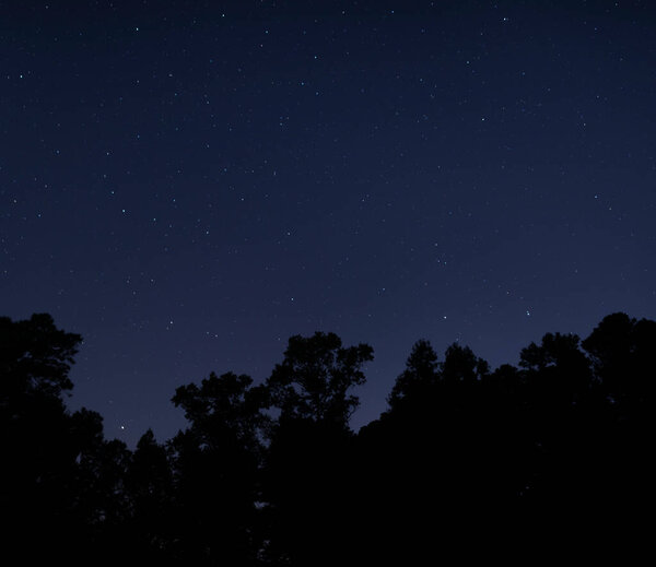 Голубая и звёздная ночь над деревьями возле Рейфорда