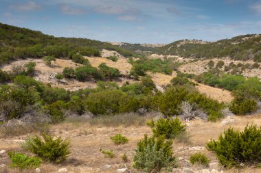 Teksas 'ın uzak bir bölgesinde aydınlık bir gün.