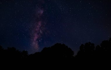 Samanyolu Kuzey Carolina 'da siluetli ağaçların hemen üstünde.