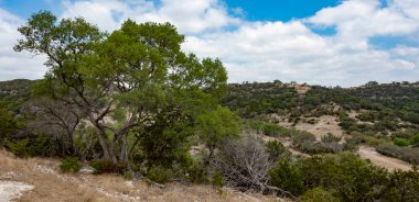 Mesquite ağaçlarıyla benekli Teksas Tepesi ülkesi