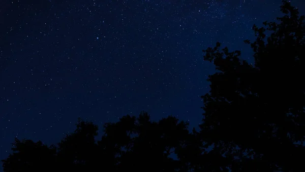 Noche Llena Estrellas Con Árboles Siluetas Cerca Raeford North Caroina — Foto de Stock