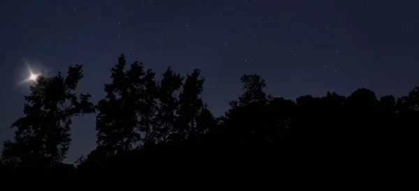 Ufo Lecące Nisko Nad Drzewami Gwieździe Wypełnionej Nocą — Zdjęcie stockowe