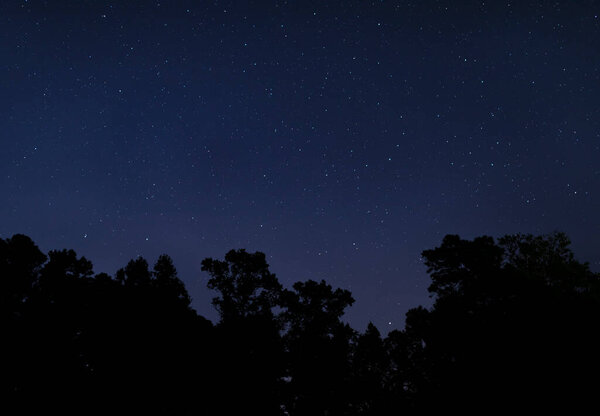 Звезда заполнена ночью возле Рефорд Северная Каролина силуэты густой лес