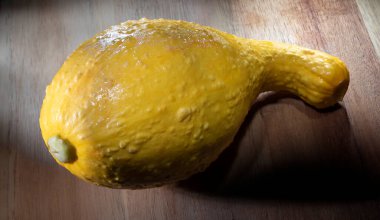 Kasabın bahçesinden yeni çıkmış sarı kabak.