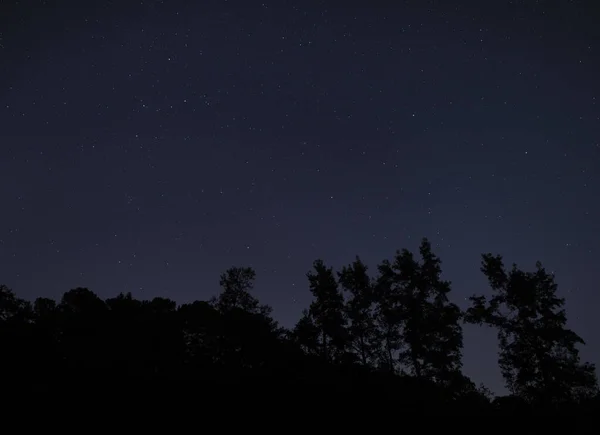 Bosque Carolina Del Norte Silueta Por Una Noche Estrellada — Foto de Stock