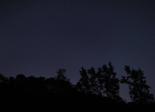 Лес в Северной Каролине, силуэт звездной ночи