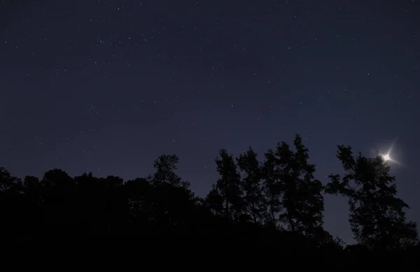 Niezidentyfikowany Obiekt Latający Nad Lasem Gwiaździstą Noc — Zdjęcie stockowe