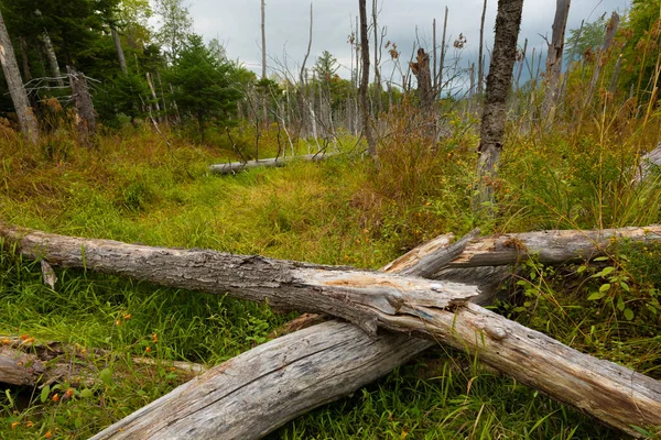 Lody Bagnach Maine Wczesną Jesienią — Zdjęcie stockowe