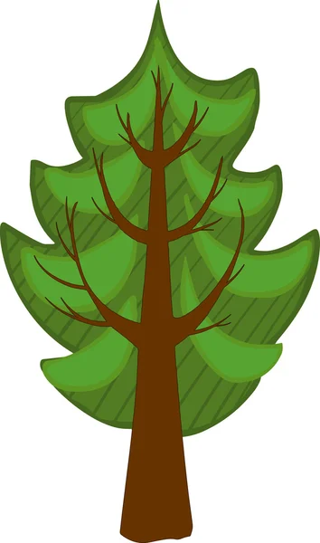 Árbol de coníferas de dibujos animados. Aislado — Vector de stock